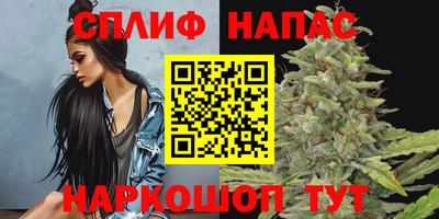 прущие грибы Малгобек