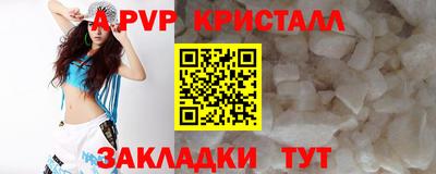 стаф Малоярославец