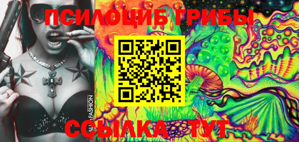 Галлюциногенные грибы Cubensis  Вход с VPN  Чехов 